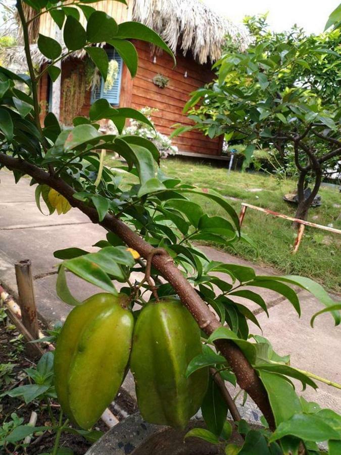 Bach Cuc Homestay Long Hai Exterior foto